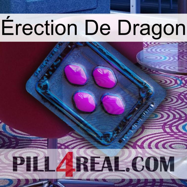 Érection De Dragon 04